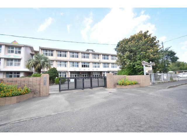 小学校　鹿屋市立田崎小学校（小学校）まで1074m
