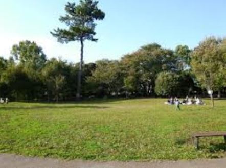 公園　三宿の森緑地（公園）まで180m