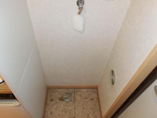 プリマヴェーラのその他写真