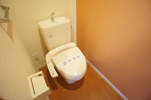 ＪＲ高崎線 新町駅 徒歩13分 2階建 築17年のトイレ写真