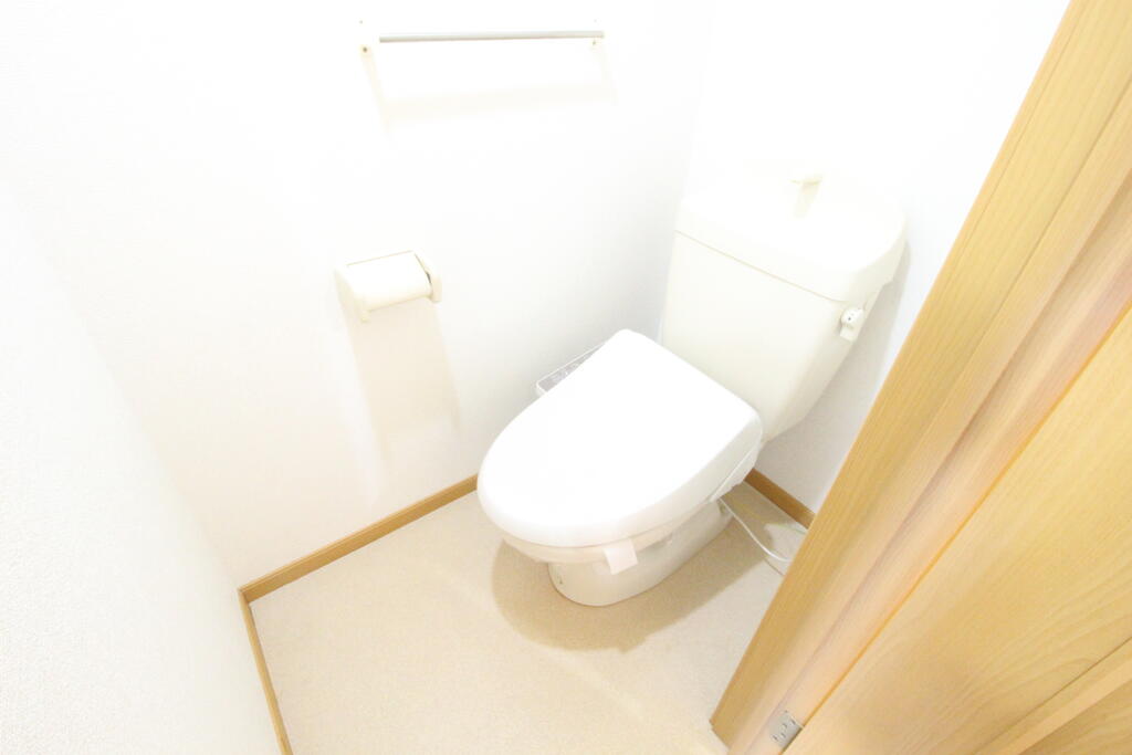 ＪＲ徳島線 蔵本駅 徒歩14分 2階建 築23年のトイレ写真