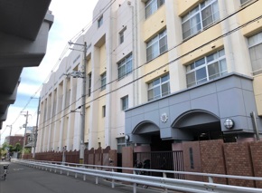 小学校　桃陽小学校（小学校）まで241m