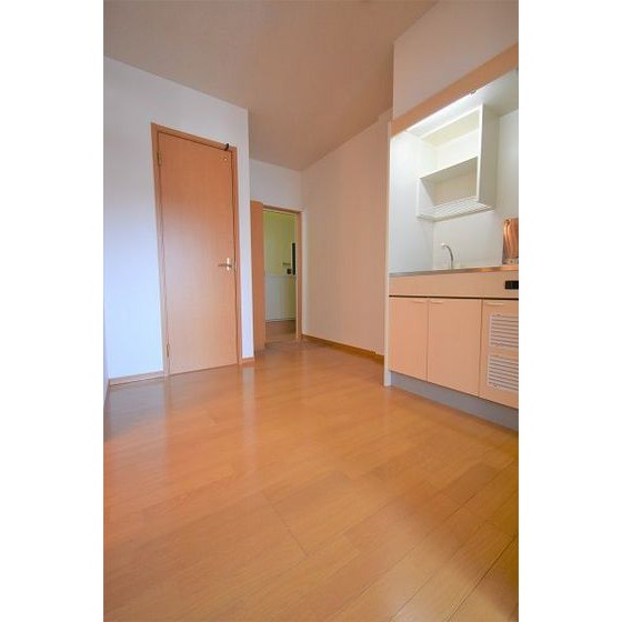 その他部屋・スペース　ＤＫ４．５畳