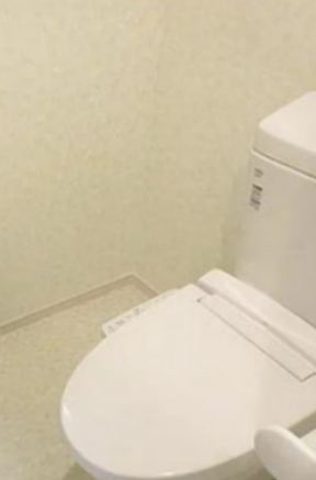 ソレム開雲のトイレ写真