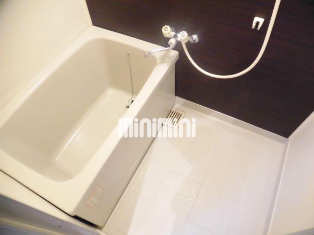 バス・シャワールーム　アクセントパネル付き浴室