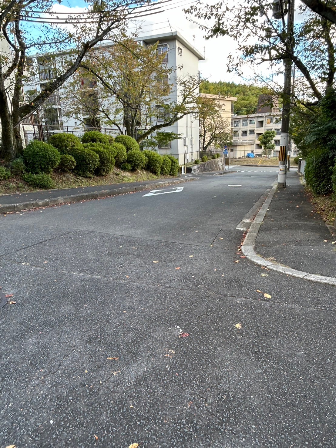 【京都市伏見区上ノ山町　マンションのその他】