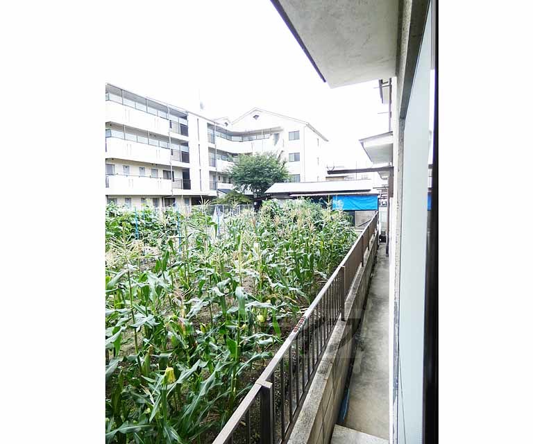 バルコニー　日当たり良好です。