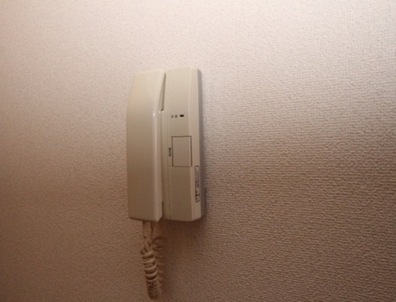 セキュリティ　他号室のお写真です