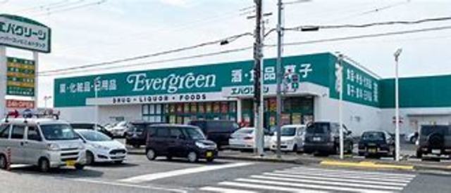 ドラックストア　エバグリーン紀三井寺店（ドラッグストア）まで253m