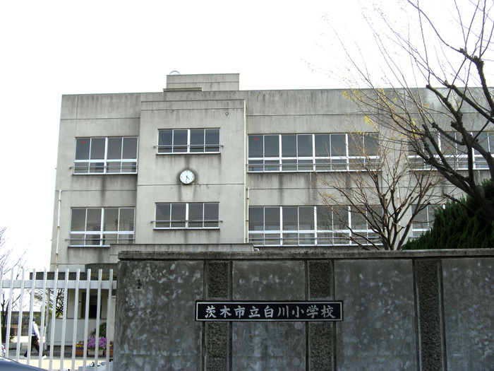 小学校　白川小学校（小学校）まで205m