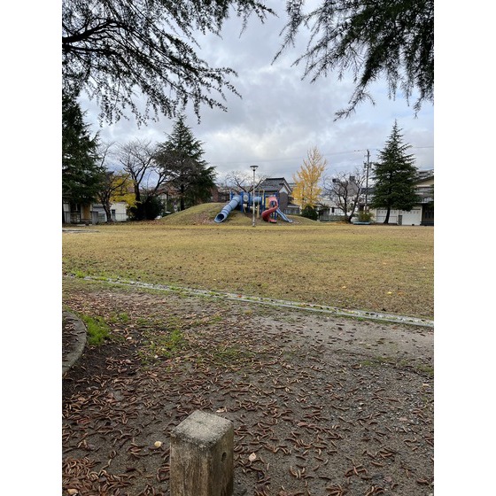 小学校　高岡市立下関小学校（小学校）まで1256m