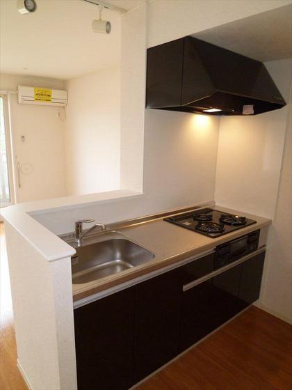 キッチン　他号室のお写真です