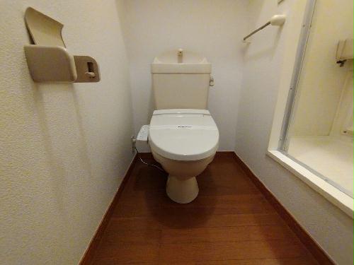 トイレ　温水洗浄便座設置