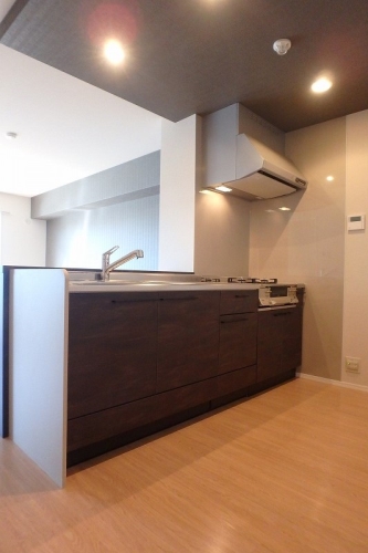 キッチン　他物件参考画像。建具・壁・床色は異なります。現況優先。