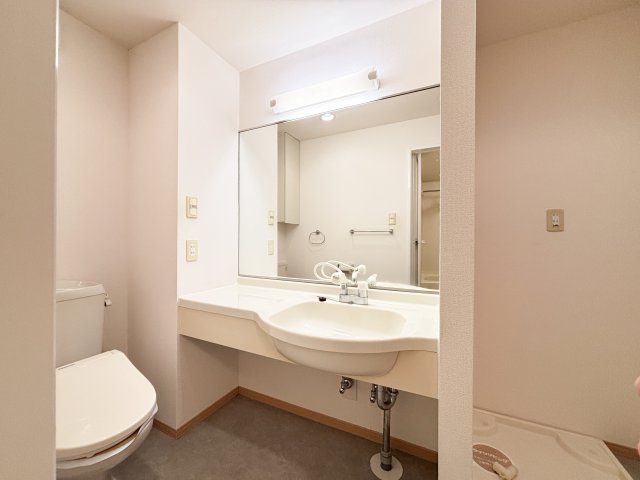 洗面設備　イメージ203号室の写真