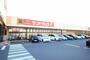 ドラックストア　サンドラッグ 初生店（ドラッグストア）まで303m