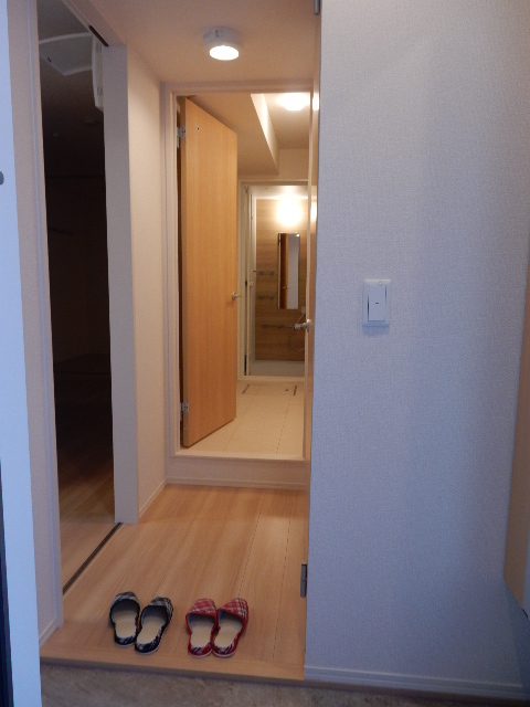 玄関　玄関からの様子です