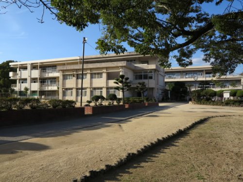 小学校　倉敷市立岡田小学校（小学校）まで317m