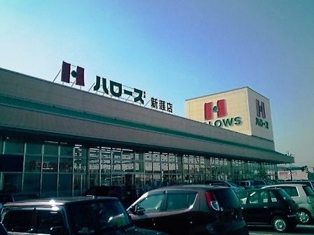 スーパー　ハローズ新涯店（スーパー）まで1100m