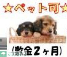 その他　ペット相談可