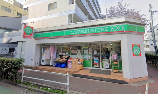 コンビニ　ローソンストア100上板橋2丁目店（コンビニ）まで541m