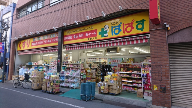 ドラックストア　どらっぐぱぱす滝野川店（ドラッグストア）まで384m