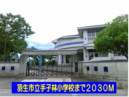 小学校　羽生市立手子林小学校（小学校）まで2030m