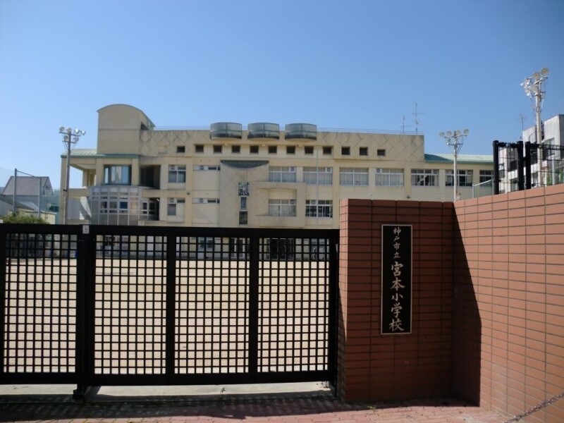 小学校　神戸市立宮本小学校（小学校）まで676m