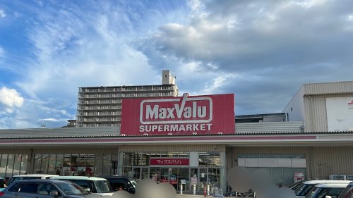 その他　マックスバリュ平野店（その他）まで1022m