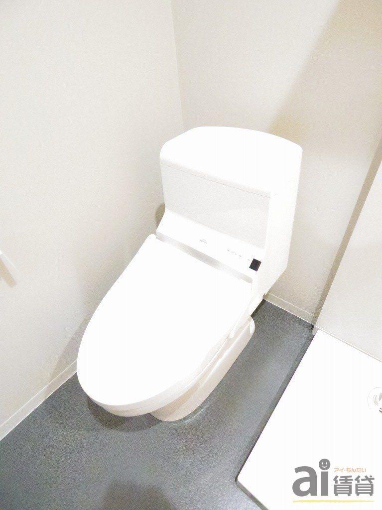 トイレ　～同仕様写真～