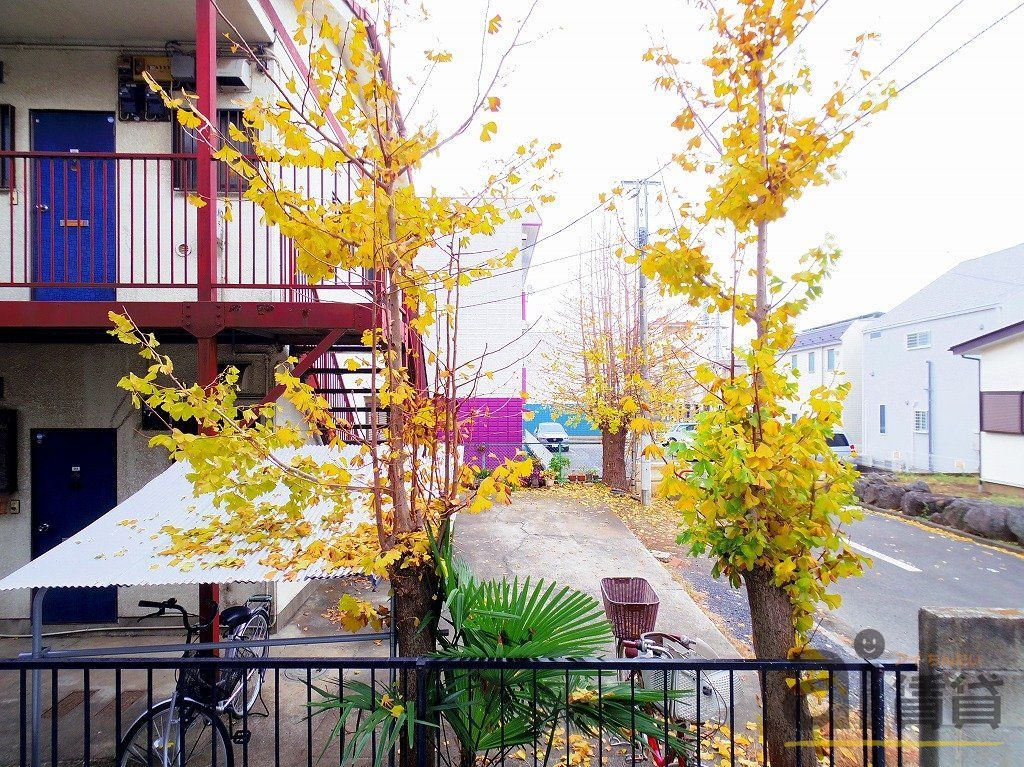 眺望　～同仕様写真～