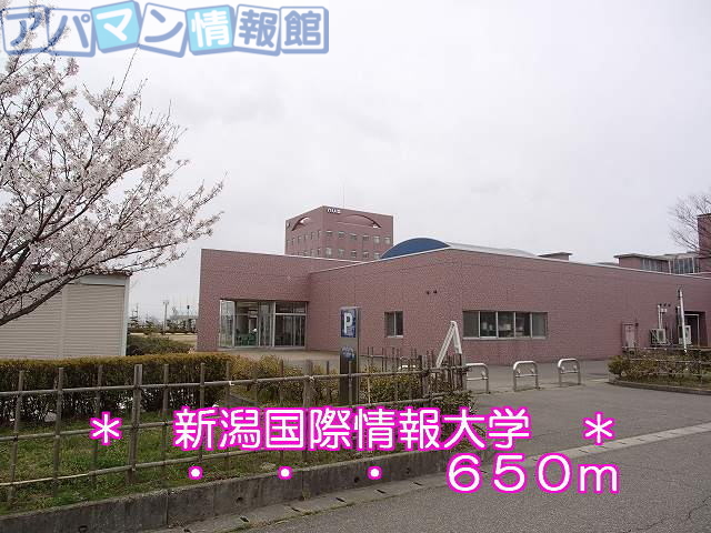 大学・短大　新潟国際情報大学（大学・短大）まで650m