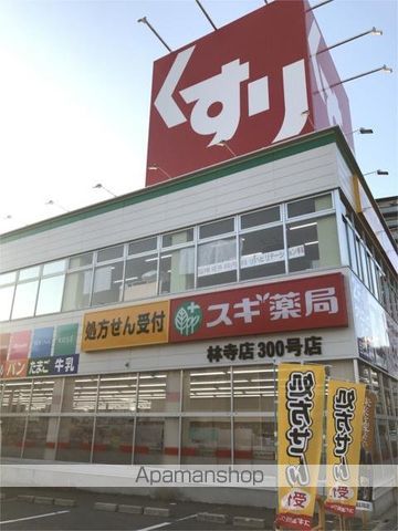 ドラックストア　スギ薬局　林寺店（ドラッグストア）まで217m