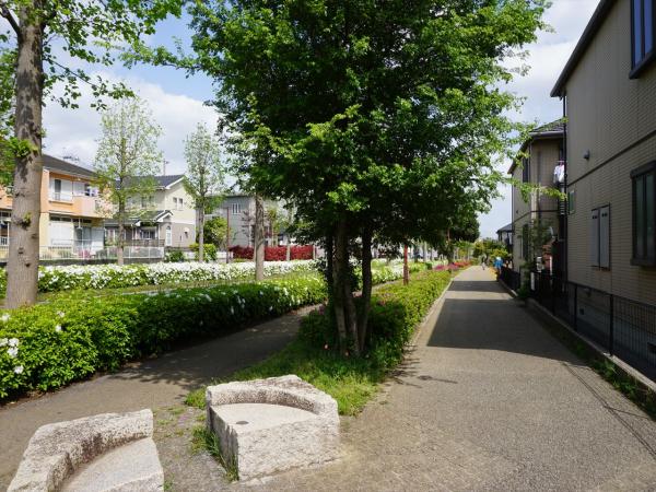 その他　現地周辺街並み（その他）まで5m