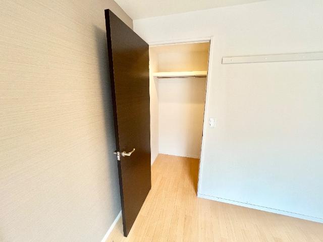 収納　ウォークインクローゼット（イメージ）