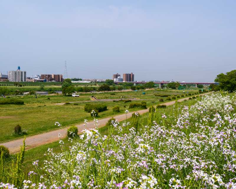 公園　多摩川遊園（公園）まで824m