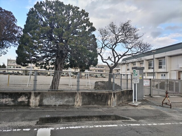 小学校　亘理町立亘理小学校（小学校）まで700m
