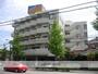 稲荷町駅より徒歩5分 3階 築35年3ヶ月の賃貸物件