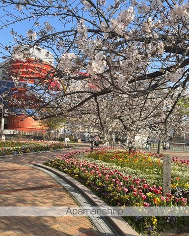 公園　清流公園（公園）まで533m