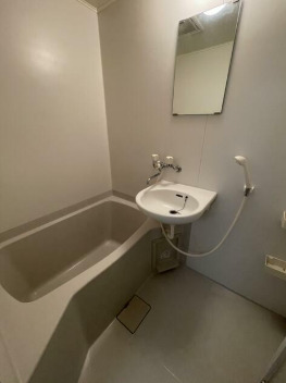 バス・シャワールーム　同タイプ別部屋参考写真