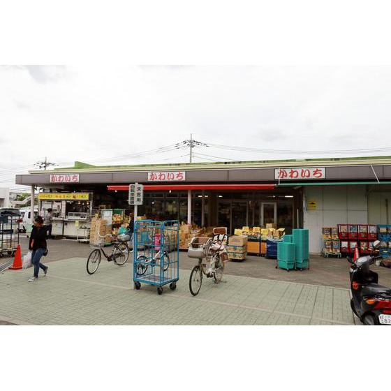 スーパー　かわいち尾山台店（スーパー）まで559m