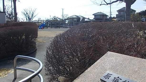 公園　原宿公園（公園）まで150m