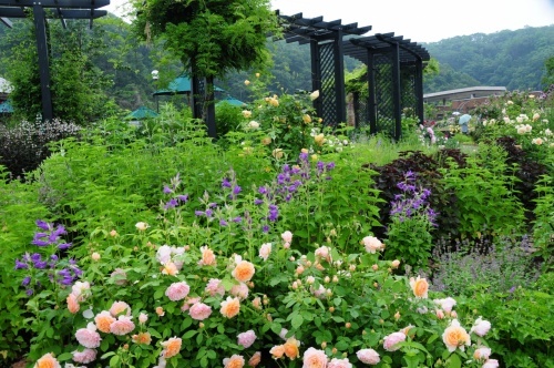 公園　国営越後丘陵公園（公園）まで4500m