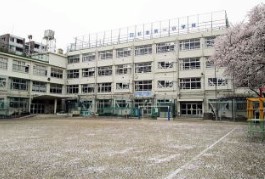 小学校　杉並第一小学校（小学校）まで569m