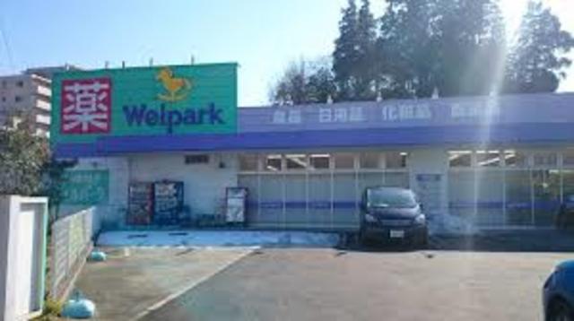 ドラックストア　ウェルパーク八王子堀之内店（ドラッグストア）まで600m