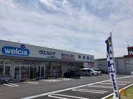 ドラックストア　ウエルシア近江八幡鷹飼店（ドラッグストア）まで419m