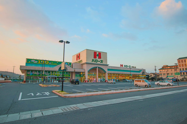 スーパー　ハローズ東岡山店（スーパー）まで244m