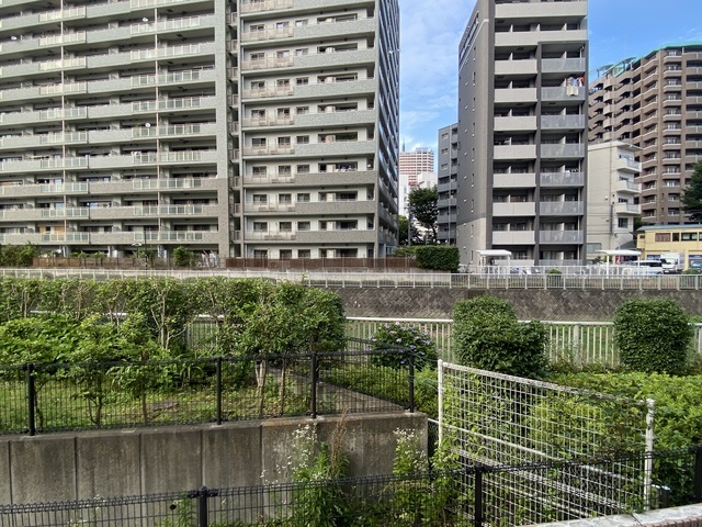 眺望　同シリーズ参考画像