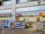 ドラックストア　ドラッグセイムス仲町台駅前店（ドラッグストア）まで738m