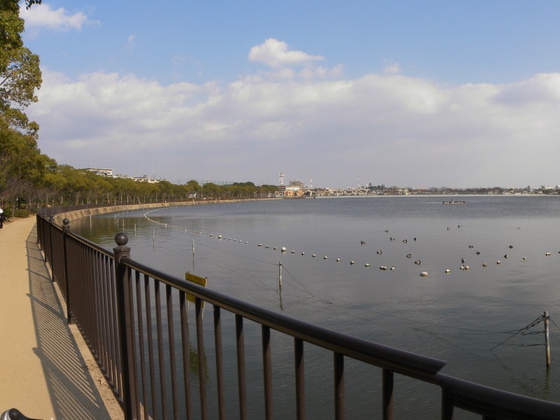 公園　瑞ケ池公園（公園）まで1170m